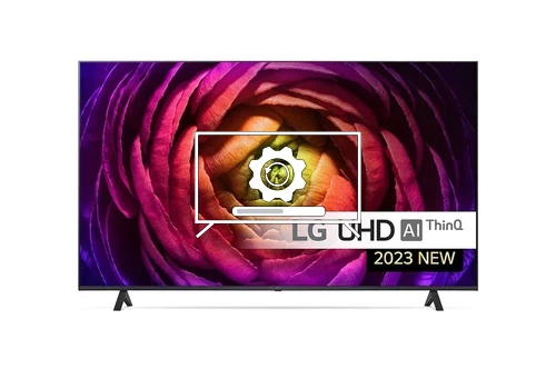 Update LG 55UR74006LB operating system