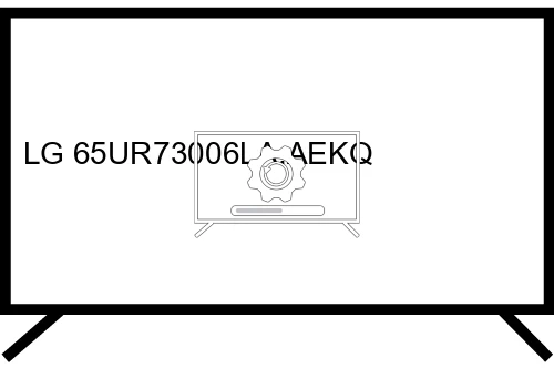 How to update LG 65UR73006LA.AEKQ TV software