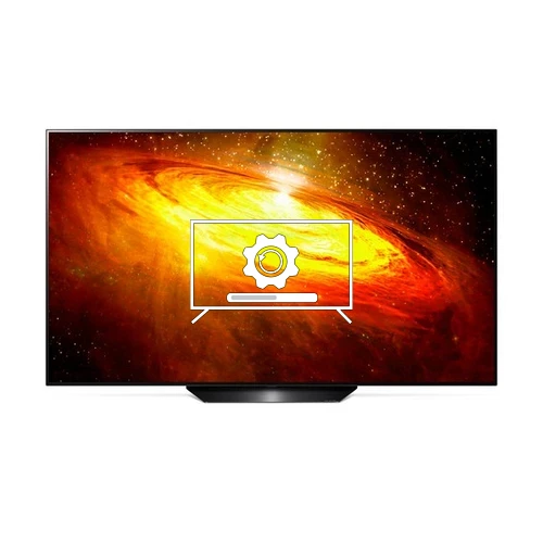 Update LG OLED55BX operating system