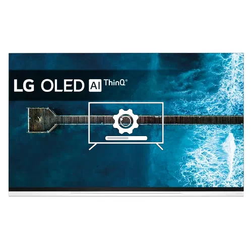 Update LG OLED55E9PLA operating system