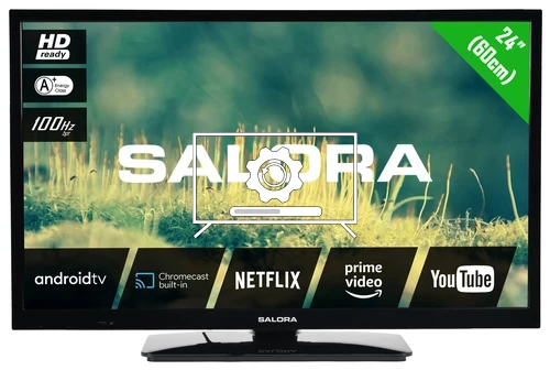 How to update Salora 24EHA2204 TV software