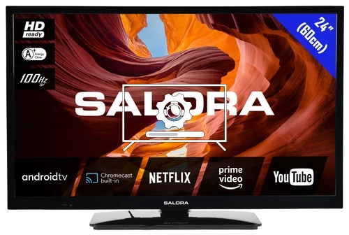 How to update Salora 24HA330 TV software