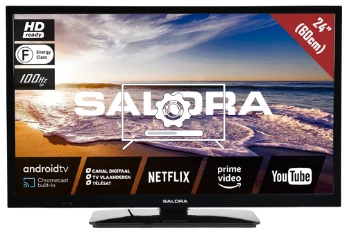 How to update Salora 24LED9109CTS2ANDROID TV software