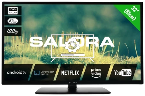 How to update Salora 32EFA2204 TV software