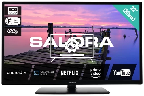 How to update Salora 32FA3704 TV software