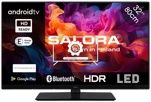 How to update Salora 32RPA650 TV software