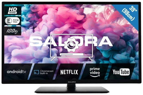 How to update Salora 39HA330 TV software