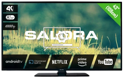 How to update Salora 43EA2204 TV software