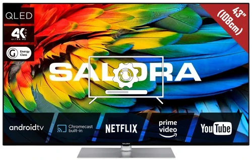 How to update Salora 43QLED440A TV software