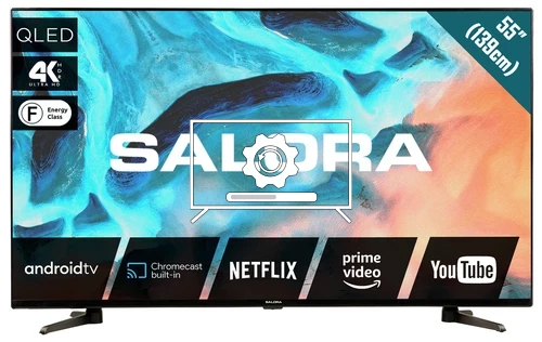 How to update Salora 55QLED220A TV software