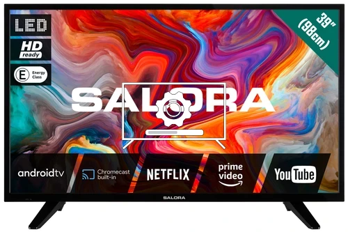 Mettre à jour le système d'exploitation Salora SMART39TV