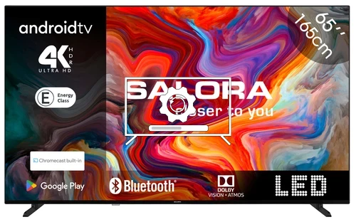 Comment mettre à jour le téléviseur Salora SMART65TV