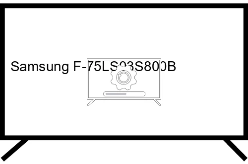 Update Samsung F-75LS03S800B operating system