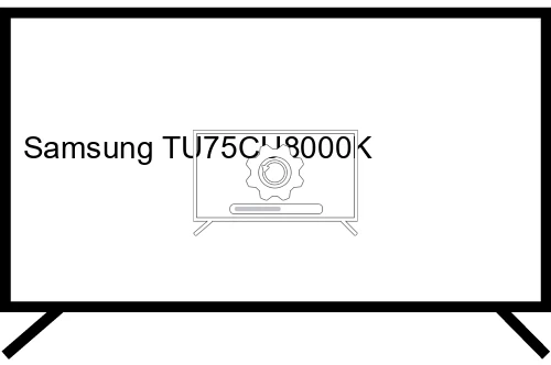 How to update Samsung TU75CU8000K TV software