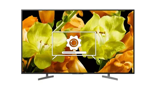 How to update Sony KD-65XG8196 TV software