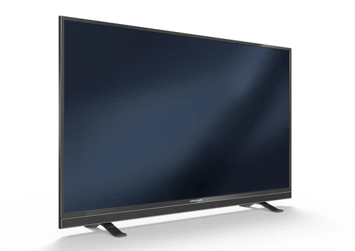 Grundig 49 VLE 841 BL 124.5 cm (49") Full HD Smart TV Wi-Fi Black 1