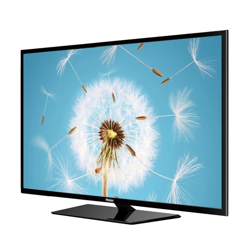 Haier LE22M600CF TV 55,9 cm (22") Full HD Noir 1