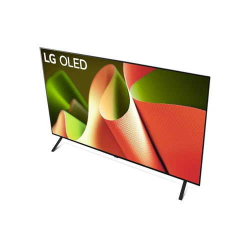 LG OLED B4 OLED65B46LA 165,1 cm (65") 4K Ultra HD Smart TV Wifi Gris 10