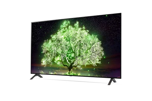 LG OLED48A1PUA TV 121,9 cm (48") 4K Ultra HD Smart TV Wifi Noir 1