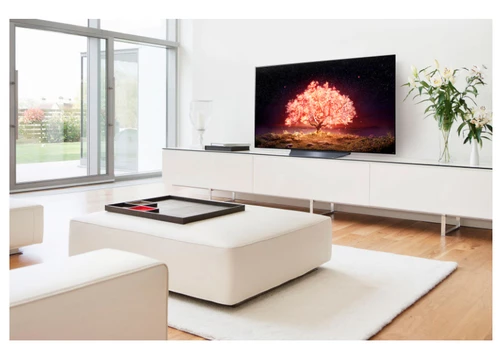 LG OLED55B1PVA 139.7 cm (55") 4K Ultra HD Smart TV Wi-Fi Black 1