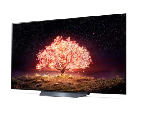 LG OLED55B1PVA 139.7 cm (55") 4K Ultra HD Smart TV Wi-Fi Black 2