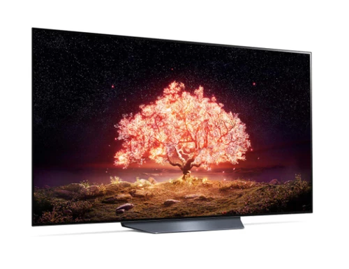 LG OLED55B1PVA 139,7 cm (55") 4K Ultra HD Smart TV Wifi Noir 6