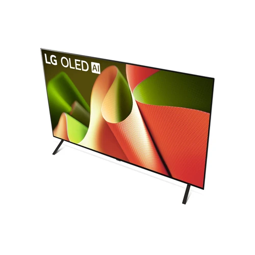 LG OLED B4 OLED48B46LA 121,9 cm (48") 4K Ultra HD Smart TV Wifi Gris 7