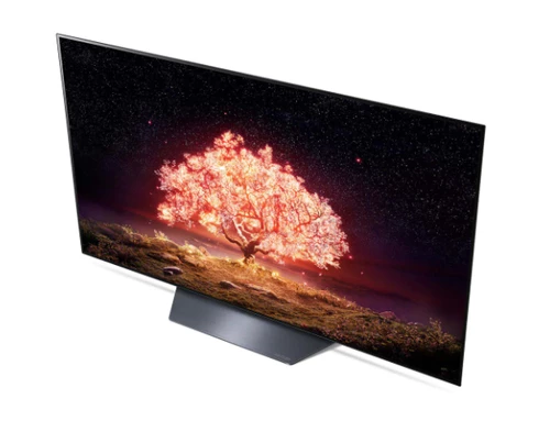 LG OLED55B1PVA 139.7 cm (55") 4K Ultra HD Smart TV Wi-Fi Black 8
