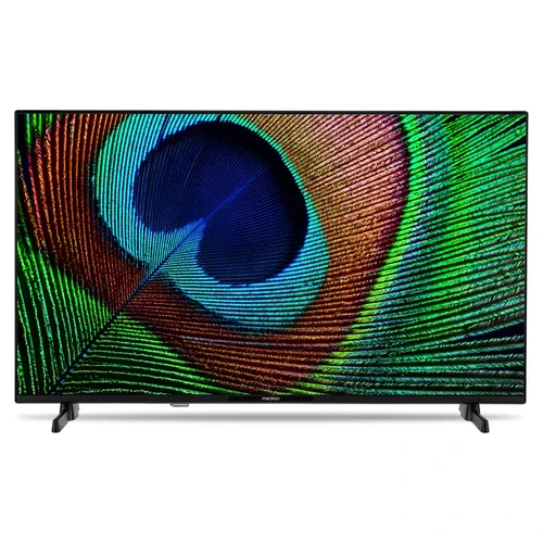 MEDION LIFE P13231 81,3 cm (32") Full HD Smart TV Wifi Noir 250 cd/m² 13