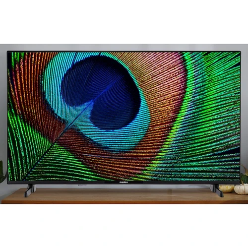 MEDION LIFE P14031 101.6 cm (40") Full HD Smart TV Wi-Fi Black 250 cd/m² 6