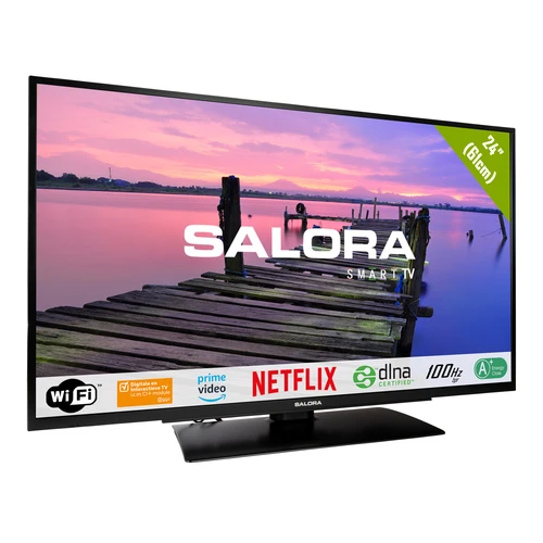 Salora 6500 series 24HSB2704 TV 61 cm (24") HD Smart TV Wifi Noir 220 cd/m² 1
