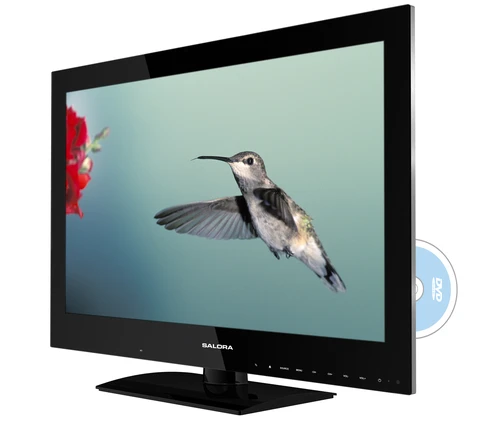 Salora 24LEF6000TD TV 61 cm (24") Full HD Noir 800 cd/m² 1