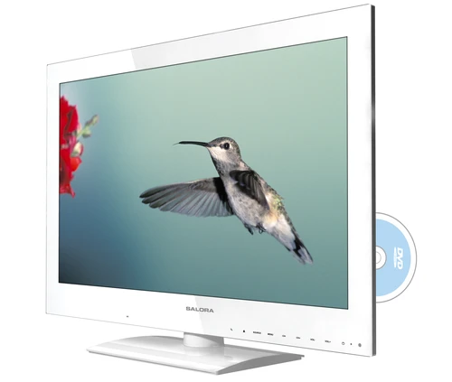 Salora 24LEF6000TDW TV 61 cm (24") Full HD White 800 cd/m² 1