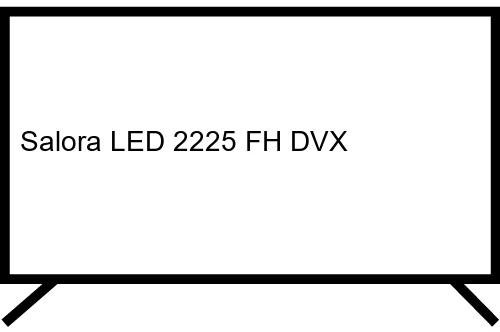 Questions et réponses sur le Salora LED 2225 FH DVX