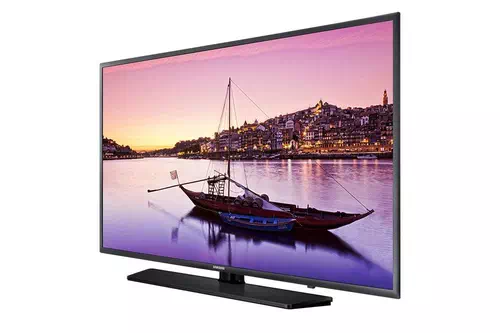Samsung HG43EE670DK TV 109.2 cm (43") Full HD Black 1